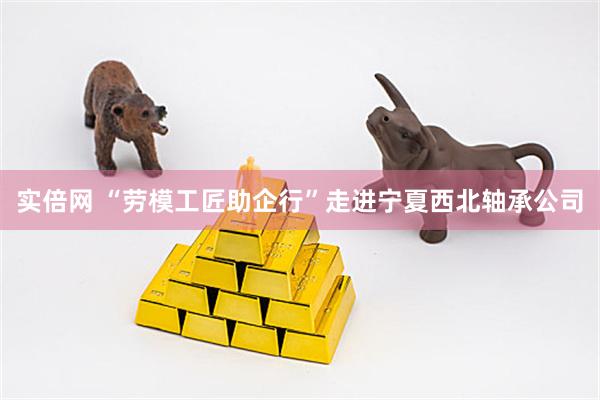 实倍网 “劳模工匠助企行”走进宁夏西北轴承公司