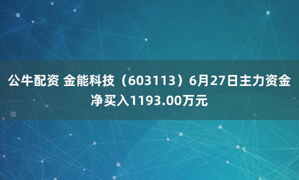 公牛配资 金能科技（603113）6月27日主力资金净买入1193.00万元