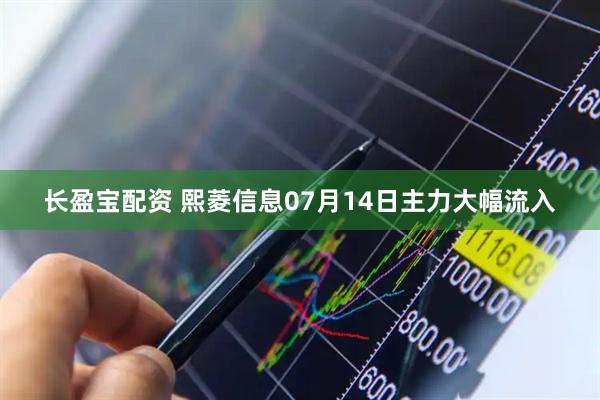 长盈宝配资 熙菱信息07月14日主力大幅流入